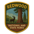 Redwood National and State Parks