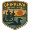 Chippewa National Forest