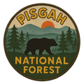 Pisgah National Forest