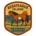 Assateague Island National Seashore